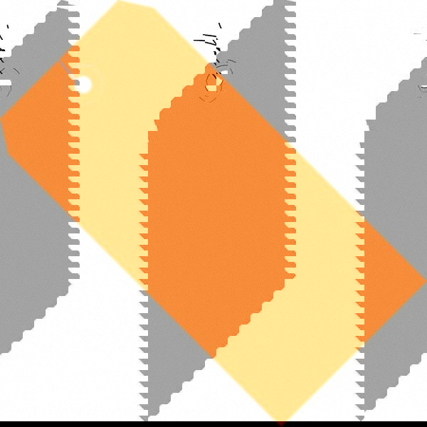 Blank Tag: 5-3/4'' High, Orange, Synthetic Paper